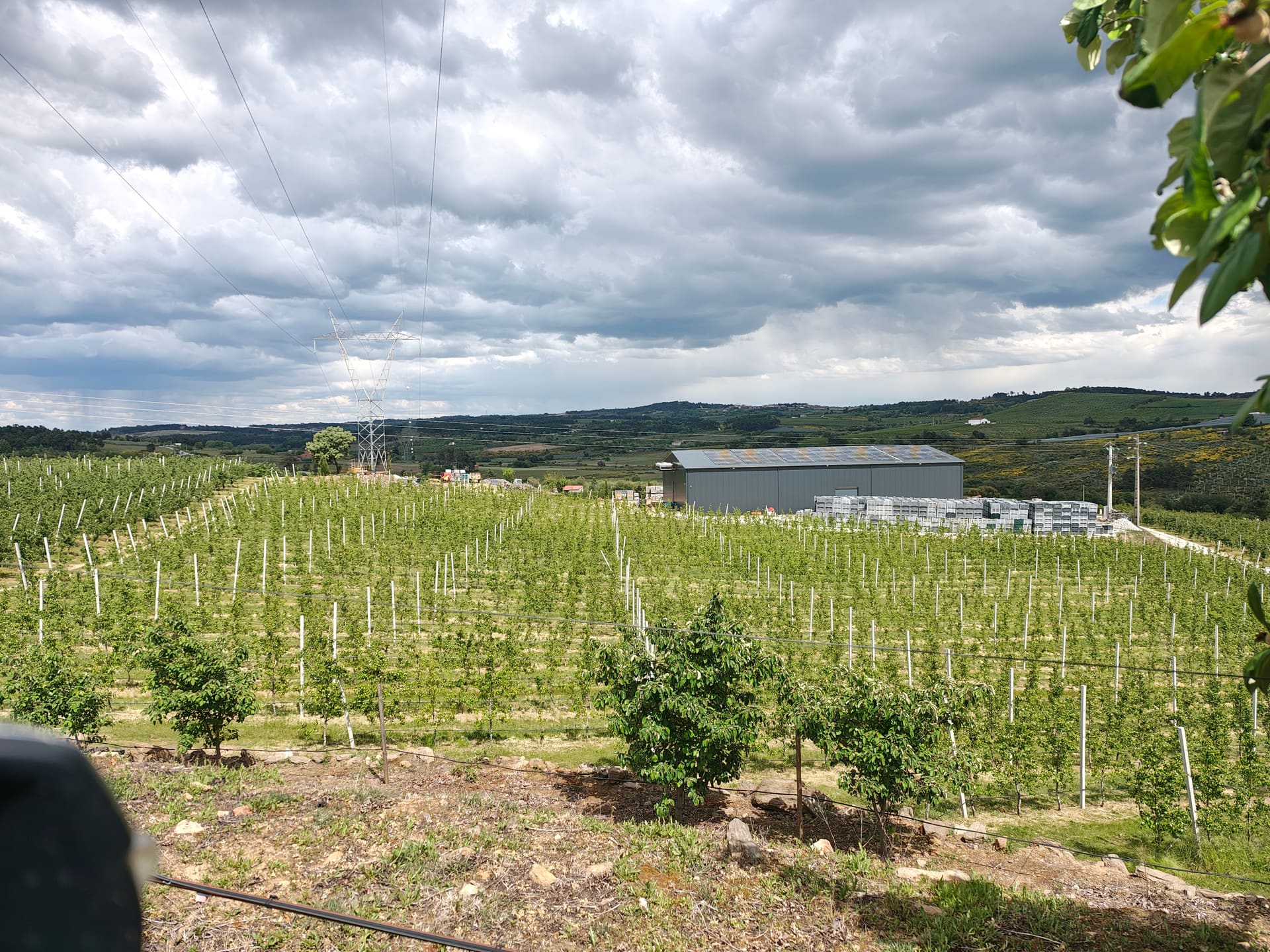 Quinta Agrícola