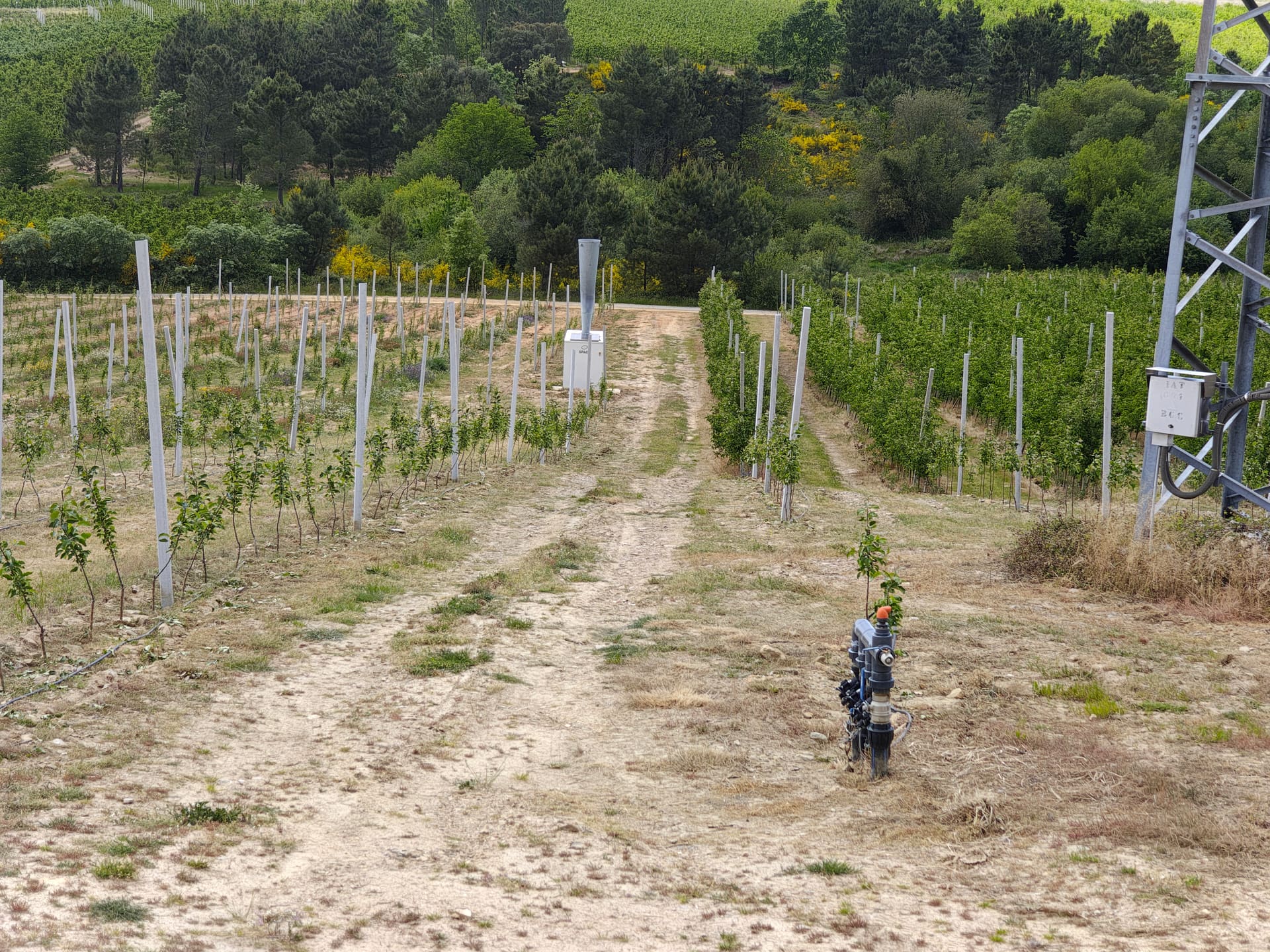 Quinta Agrícola miniatura 4