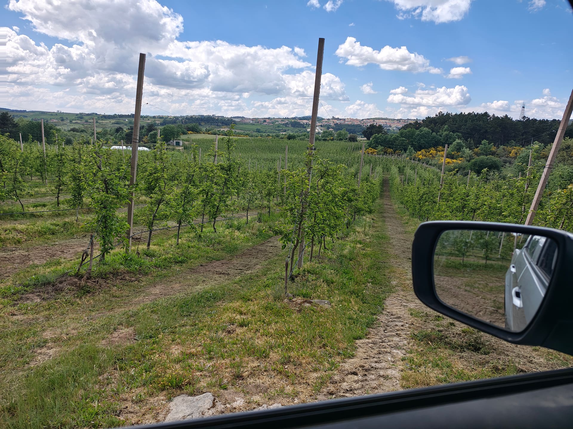 Quinta Agrícola