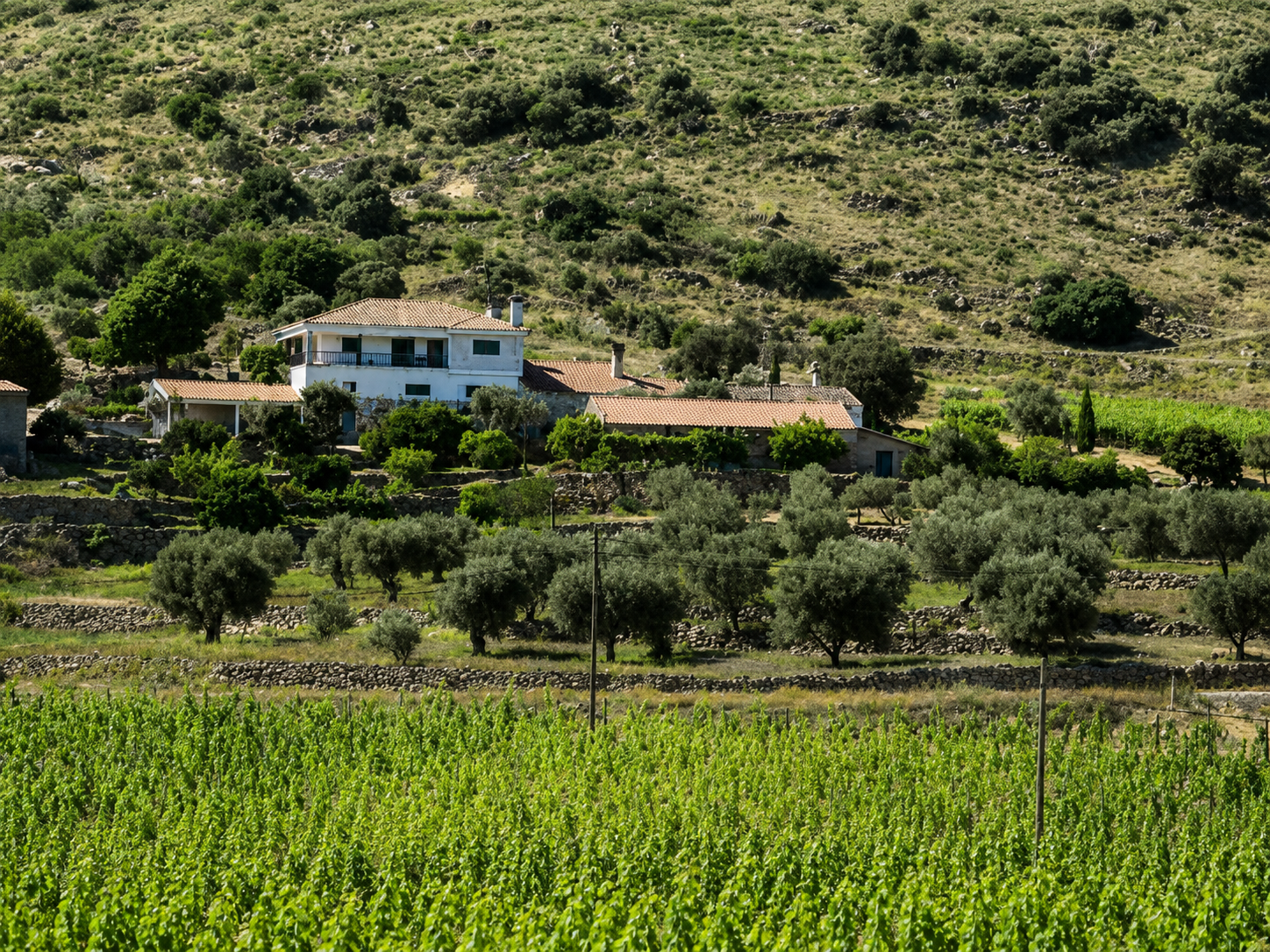 Quinta dos Vinhais miniatura 2