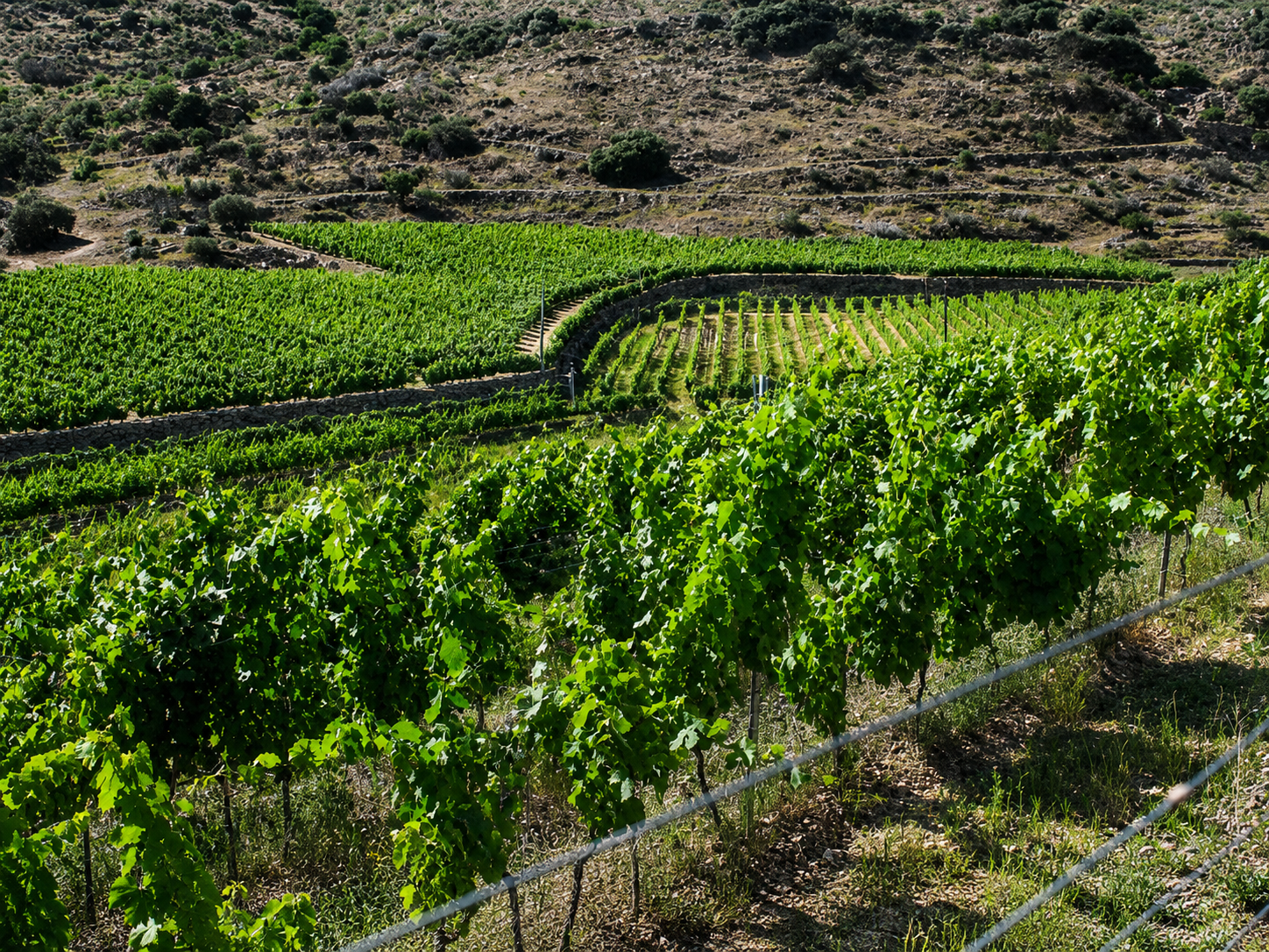 Quinta dos Vinhais miniatura 3