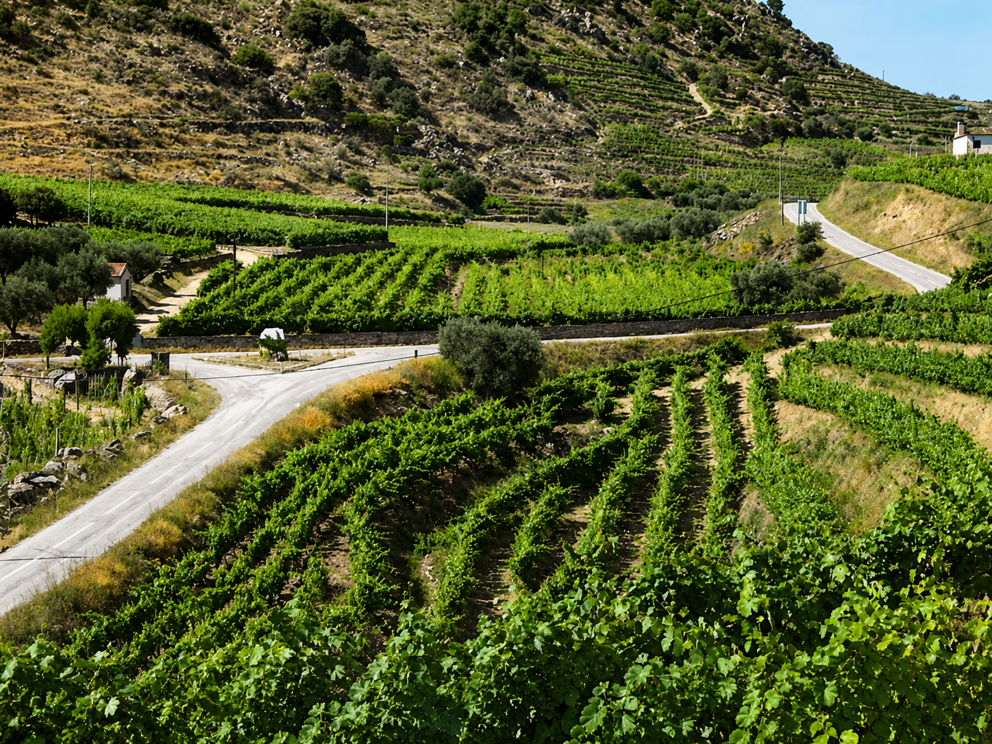 Quinta dos Vinhais miniatura 4