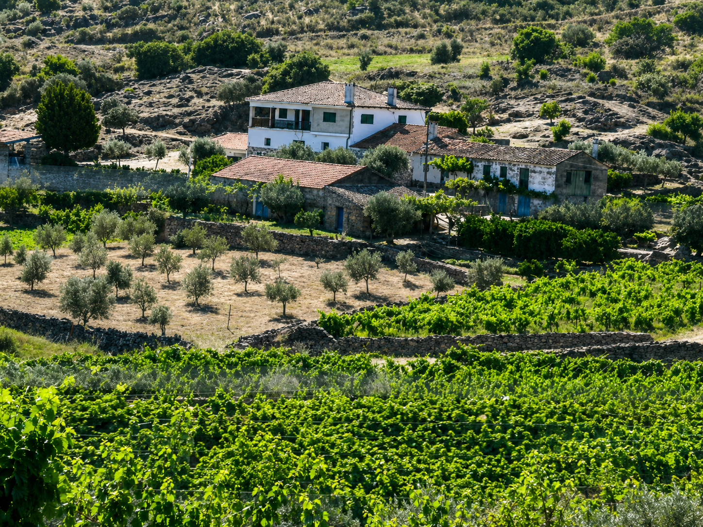 Quinta dos Vinhais